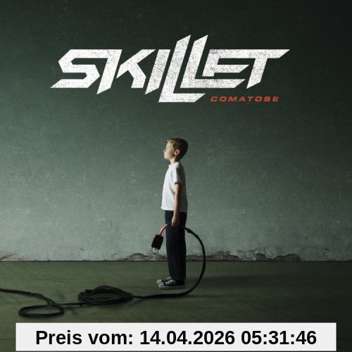 Skillet Comatose