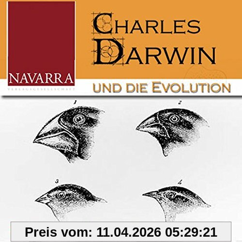 Charles Darwin und die Evolution