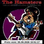 Jimi Hendrix Memorial Concerts