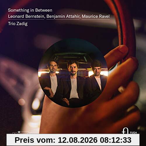 Trio Zadig Bernstein/Ravel, Something In Between