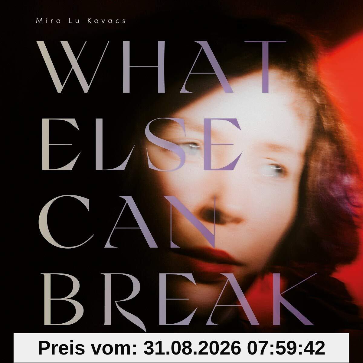 What Else Can Break [Vinyl LP]
