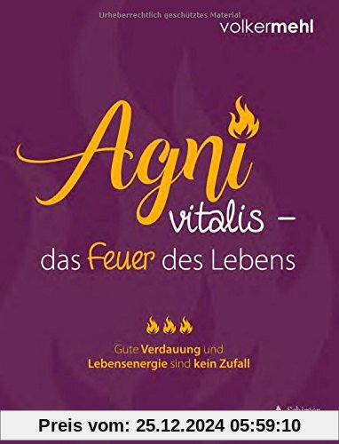 Agni vitalis – das Feuer des Lebens: Gute Verdauung und Lebensenergie sind kein Zufall