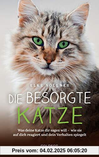 Die besorgte Katze: Was deine Katze dir sagen will – wie sie auf dich reagiert und dein Verhalten spiegelt