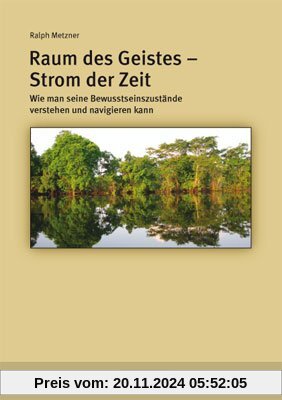 Raum des Geistes - Strom der Zeit: Wie man seine Bewusstseinszustände verstehen und navigieren kann