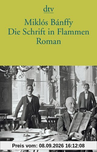 Die Schrift in Flammen: Roman