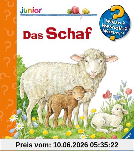 Wieso? Weshalb? Warum? - junior 29: Das Schaf