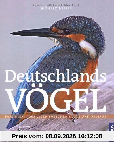 Deutschlands Vögel: Die Vögel unserer Heimat: Faszinierendes Leben zwischen Küste und Gebirge