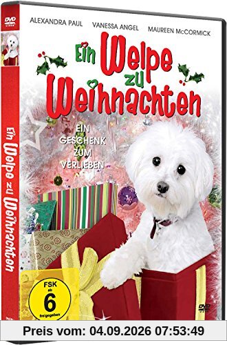Ein Welpe zu Weihnachten