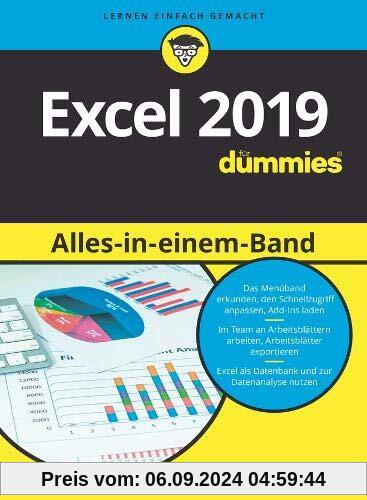 Excel 2019 Alles in einem Band für Dummies