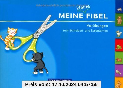 Meine Fibel - Aktuelle Ausgabe: Meine kleine Fibel: Vorübungen zum Schreiben- und Lesenlernen