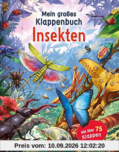 Mein großes Klappenbuch - Insekten: mit über 75 Klappen und spannenden Sachinformationen