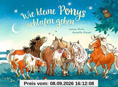 Wie kleine Ponys schlafen gehen