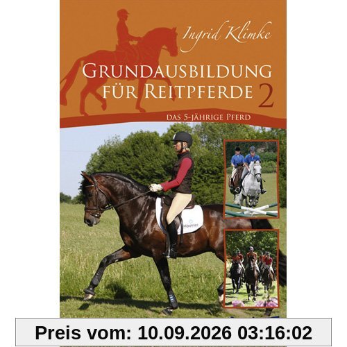 Grundausbildung für Reitpferde Teil 2: Das 5-jährige Pferd