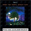 Holi Under The Monkey Puzzle Tree