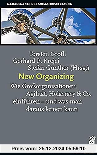 New Organizing: Wie Großorganisationen Agilität, Holacracy & Co. einführen – und was man daraus lernen kann (Management)