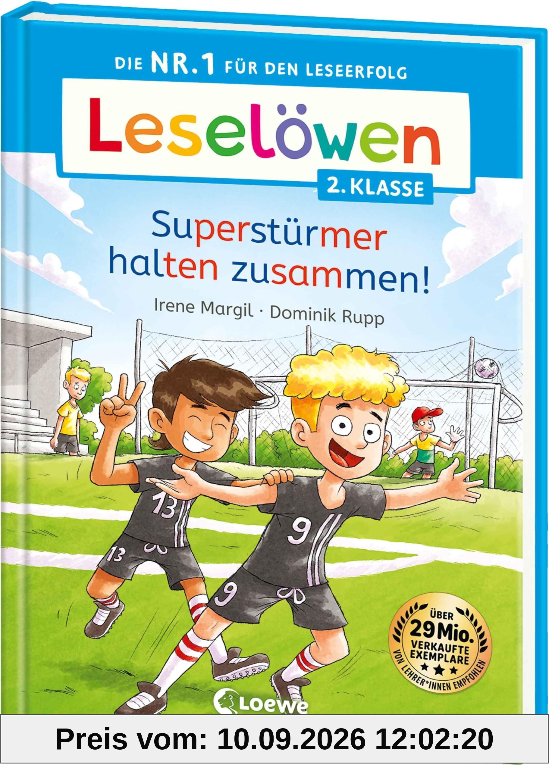 Leselöwen 2. Klasse - Superstürmer halten zusammen!: Die Nr. 1 für den Leseerfolg - Mit Leselernschrift ABeZeh - Erstlesebuch für Kinder ab 7 Jahren
