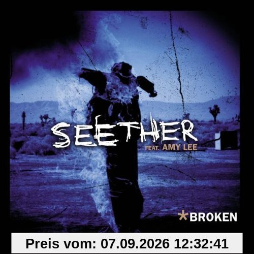 Seether feat. Amy Lee Broken