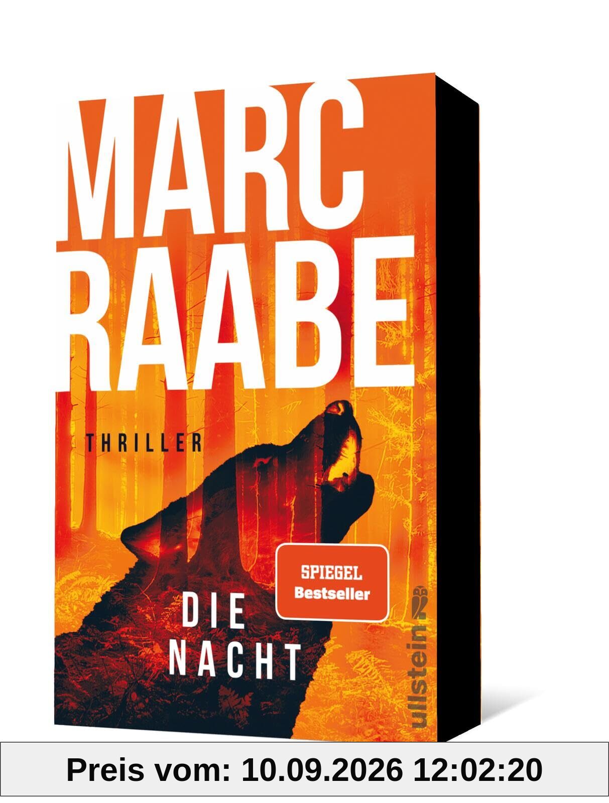 Die Nacht: Thriller | Bestseller von Marc Raabe bringen Sie um den Schlaf! (Art Mayer-Serie, Band 3)