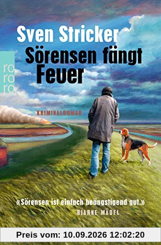 Sörensen fängt Feuer (Sörensen ermittelt, Band 2)