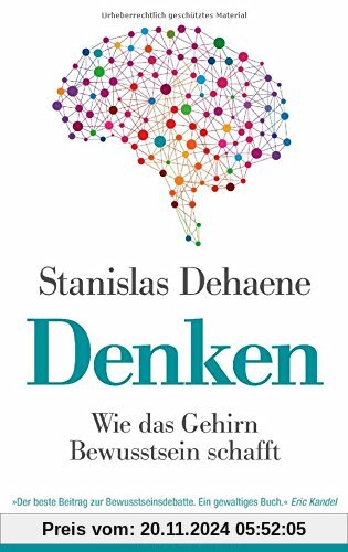 Denken: Wie das Gehirn Bewusstsein schafft