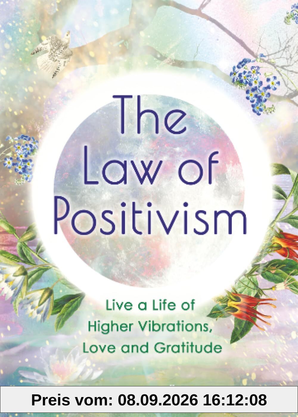 The Law of Positivism: Live a Life of Higher Vibrations, Love and Gratitude