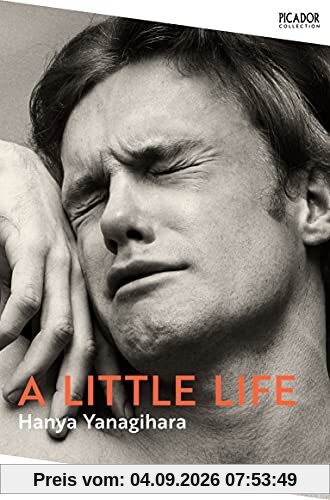 A Little Life (Picador Collection)