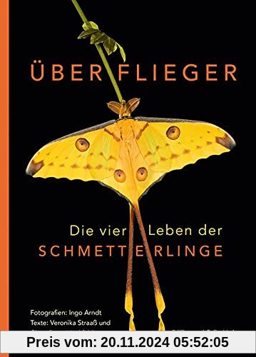 Überflieger. Die vier Leben der Schmetterlinge