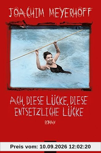 Ach, diese Lücke, diese entsetzliche Lücke: Roman. Alle Toten fliegen hoch, Teil 3