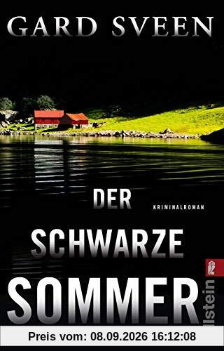 Der schwarze Sommer: Kriminalroman (Ein Fall für Tommy Bergmann, Band 5)
