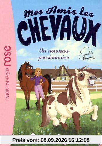 Mes amis les chevaux. Vol. 1. Un nouveau pensionnaire
