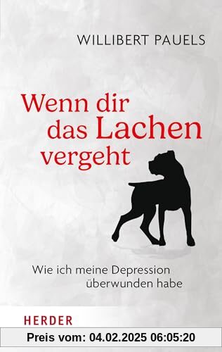 Wenn dir das Lachen vergeht: Wie ich meine Depression überwunden habe