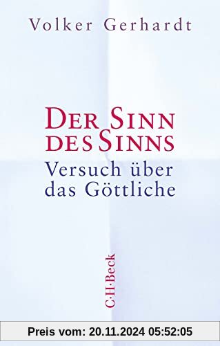 Der Sinn des Sinns: Versuch über das Göttliche (Beck Paperback)