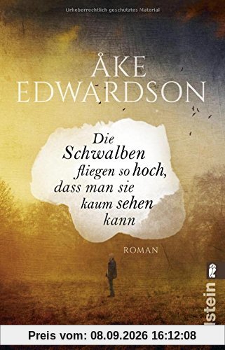 Die Schwalben fliegen so hoch, dass man sie kaum sehen kann: Roman