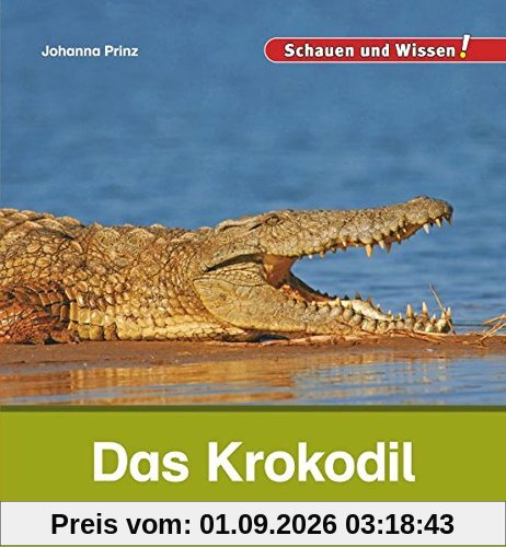 Das Krokodil: Schauen und Wissen!
