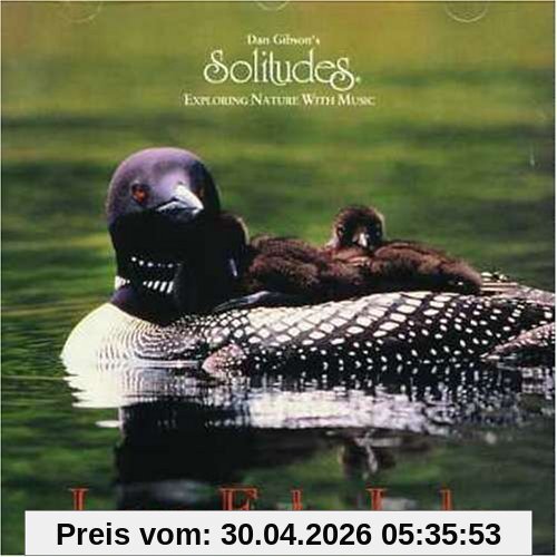 Loon Echo Lake