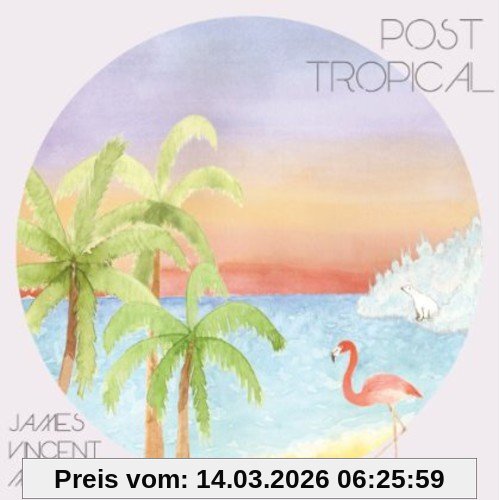 James Vincent Mcmorrow Post Tropical