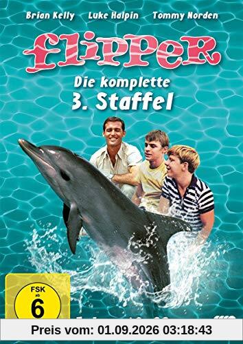 Flipper - Die komplette 3. Staffel [4 DVDs]