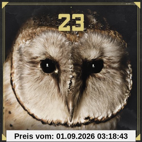 23