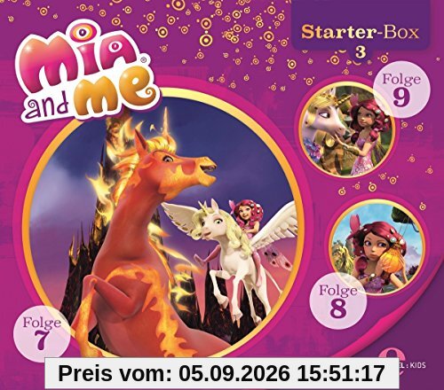 Starter-Box 3