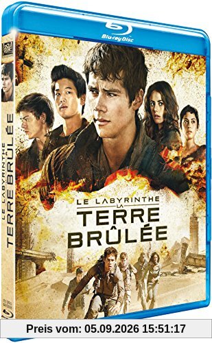 Le Labyrinthe : la terre brûlée [Blu-ray]