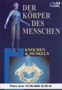 Der Körper des Menschen. Paket: Knochen & Muskeln