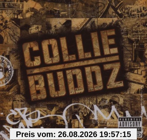Buddz,Collie