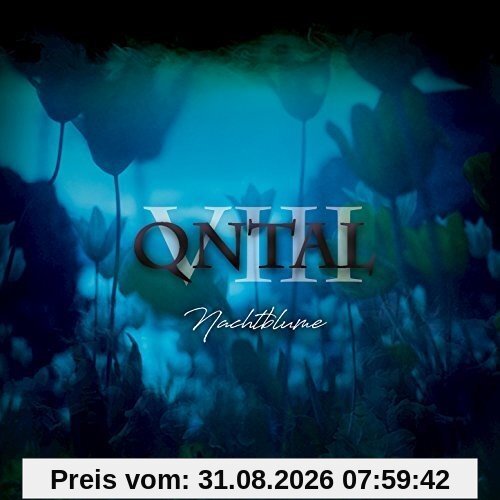 VIII-Nachtblume