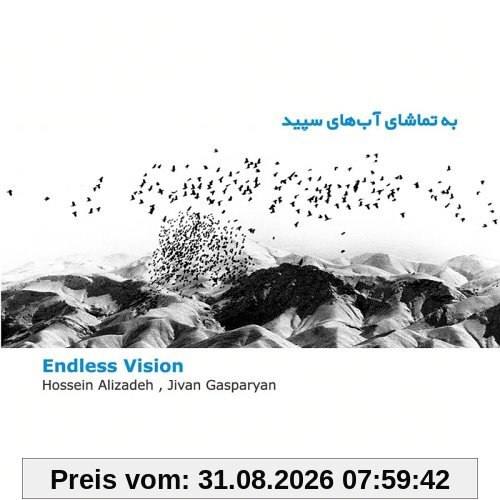 Endless Vision