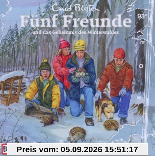 093/und das Geheimnis des Winterwaldes