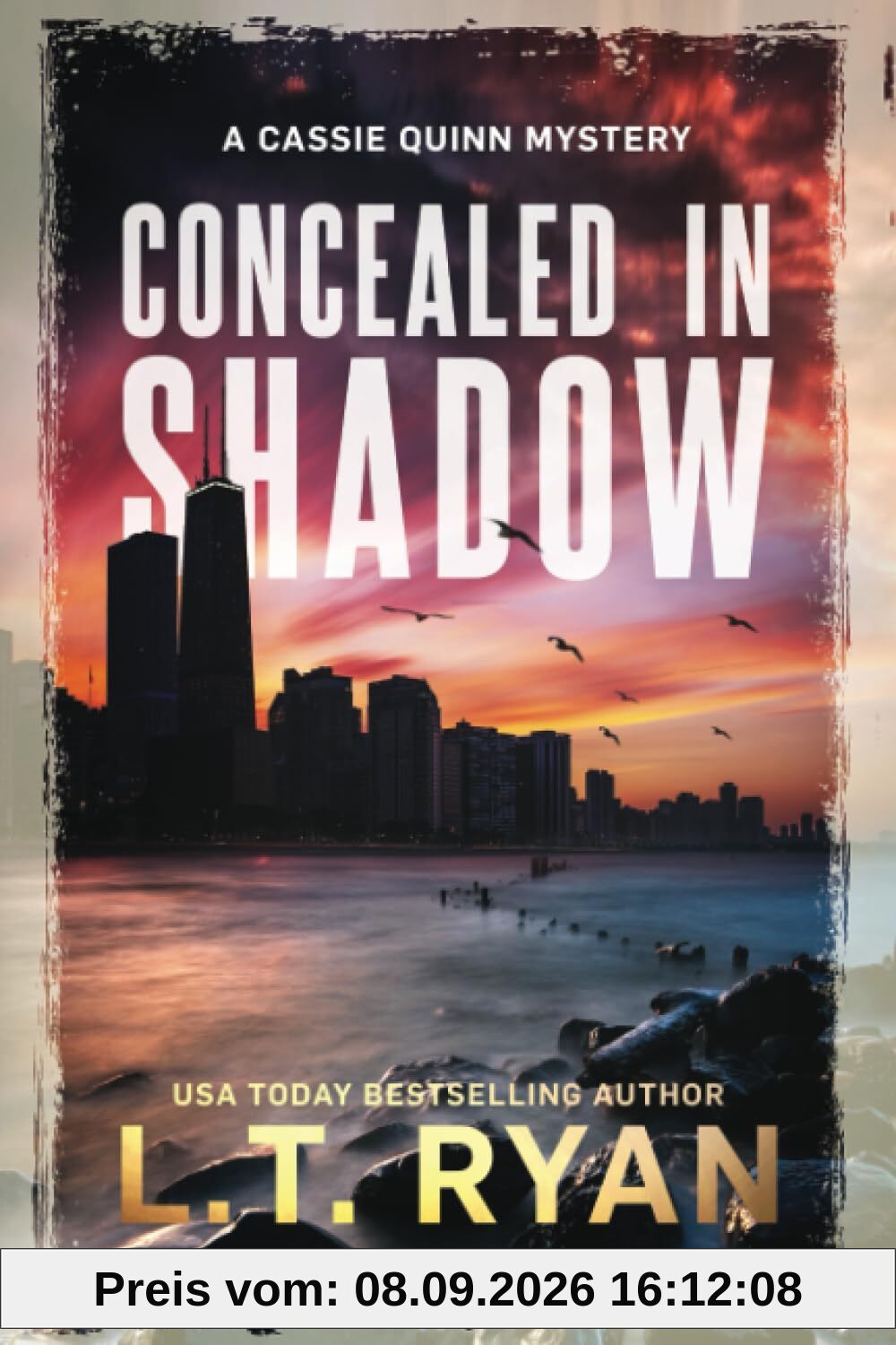 Concealed in Shadow: A Cassie Quinn Mystery