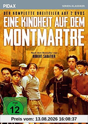 Eine Kindheit auf dem Montmartre (Allein in der Welt) / Der komplette Dreiteiler nach dem Bestseller von Robert Sabatier (Pidax Serien-Klassiker) [2 DVDs]
