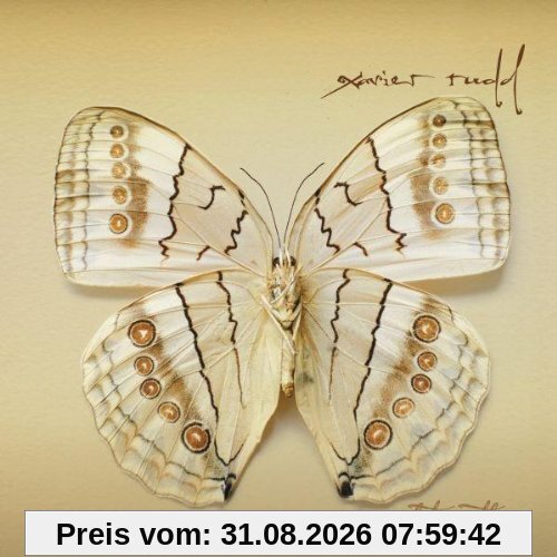 White Moth