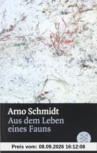 Aus dem Leben eines Fauns: Kurzroman