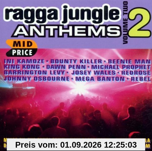 Ragga Jungle Anthems Vol.2
